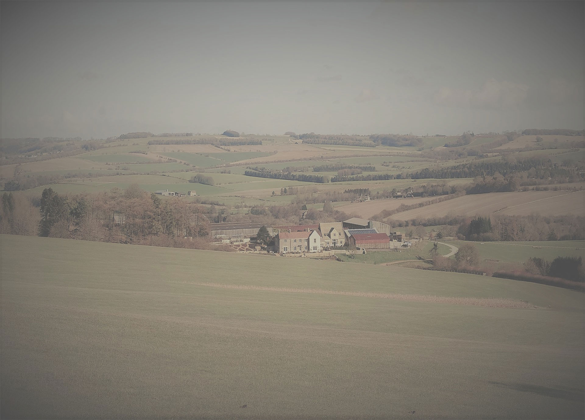 Trainer View Background